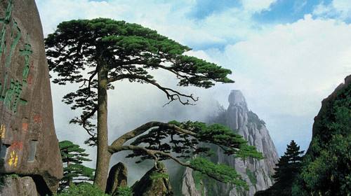 精鑄石|晶鑄石|石英石|橋梁欄桿|橋梁裝飾|鑄造石木|仿木|仿石|人造石|上海鑄造石|浙江鑄造石|江蘇鑄造石|晶鑄石掛板|鑄造石掛板|上海鑄造石 鑄造石欄桿,鑄造石掛板,晶鑄石掛板,晶鑄石欄桿,鑄造石樹池坐凳,泰科石樹池,晶鑄石,精鑄石,泰科石,鑄造石橋梁裝飾